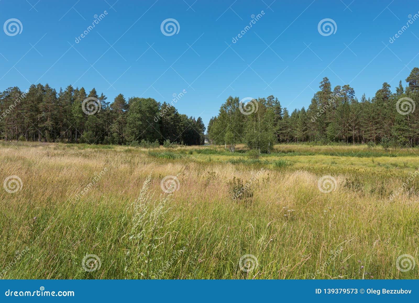 the territory of st. vladimir`s skete