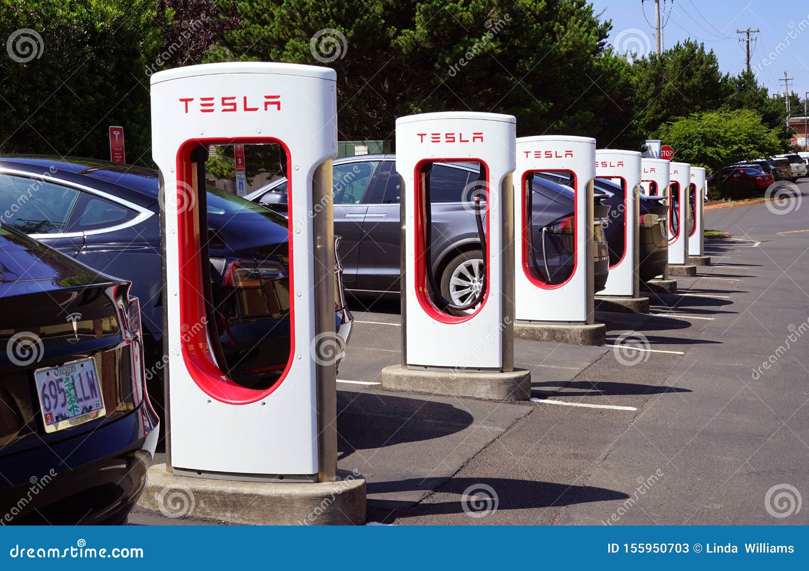 tesla-charging-stations-are-always-in-use-editorial-stock-photo-image