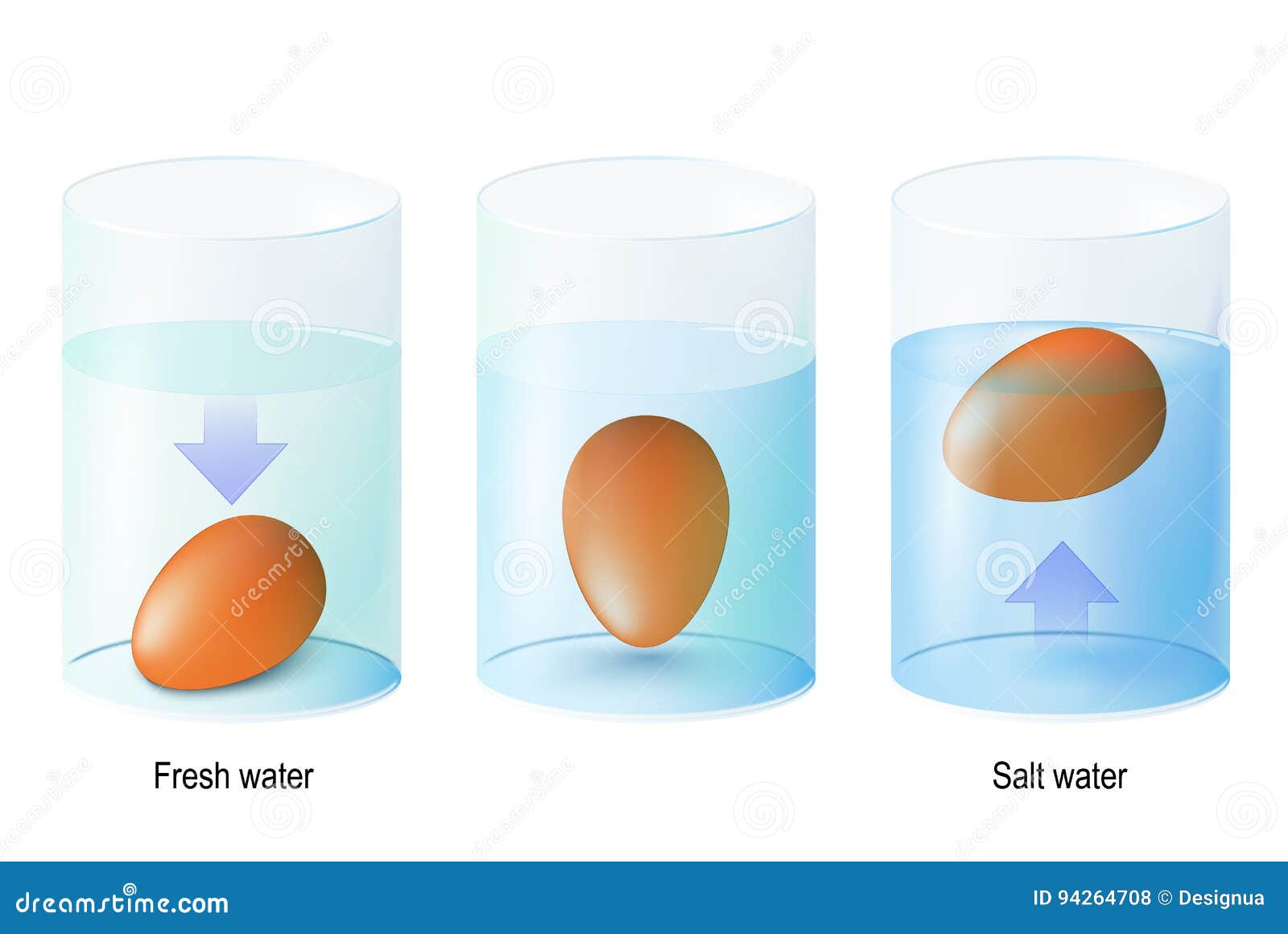 test egg. science experiments and test eggs for freshness in one