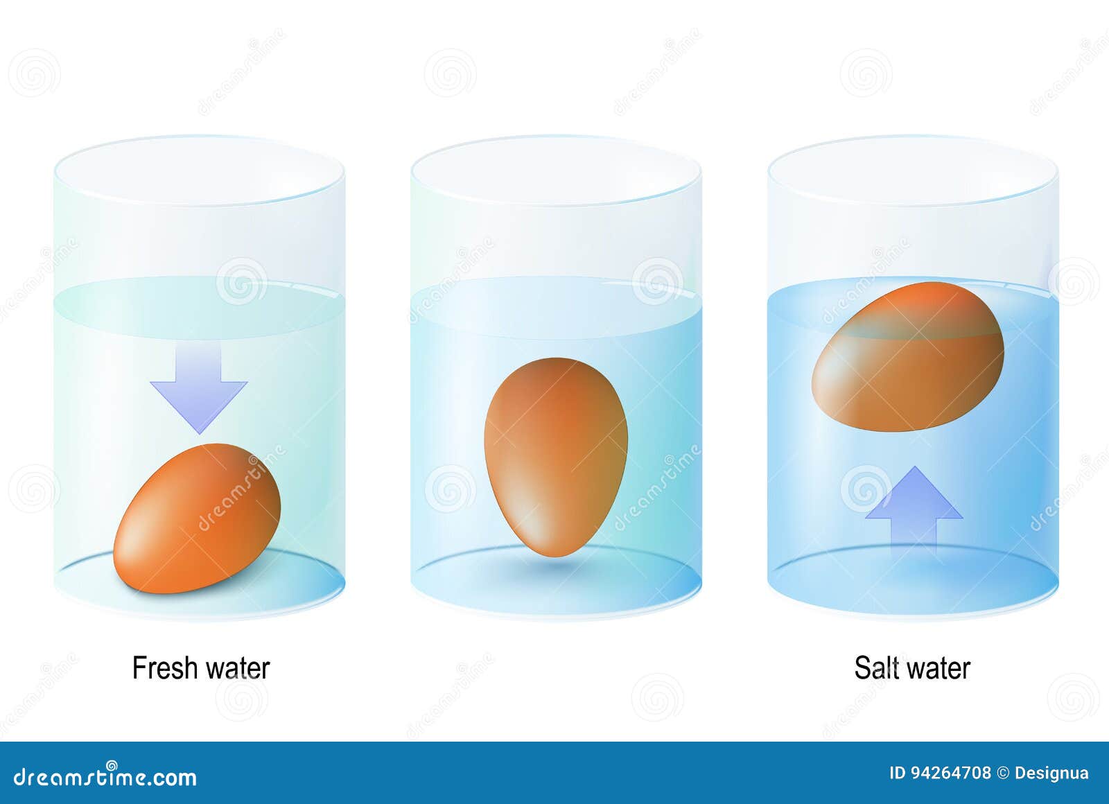 wallpapers Floating Egg Science Project Board dreamstime com