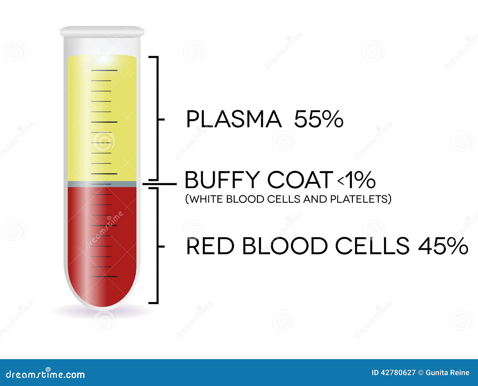 Test tube with blood cells stock vector. Illustration of