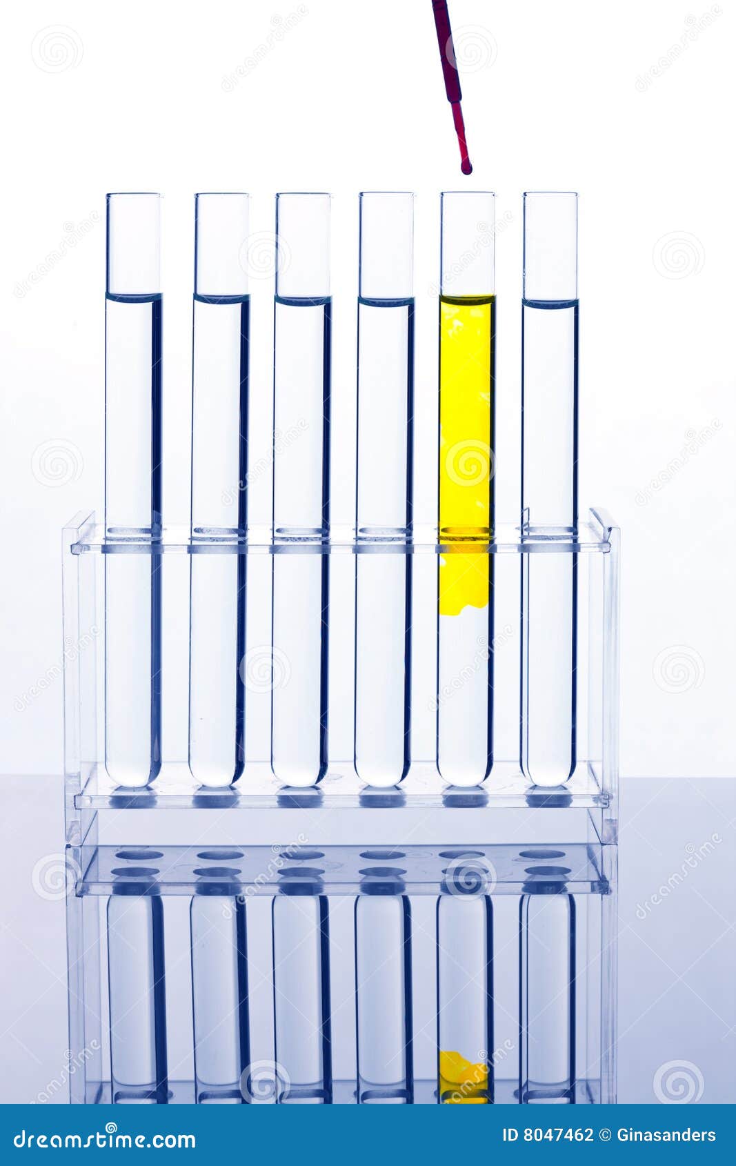 Test Tube for Testing in a Chemical Laboratory Stock Photo Image of