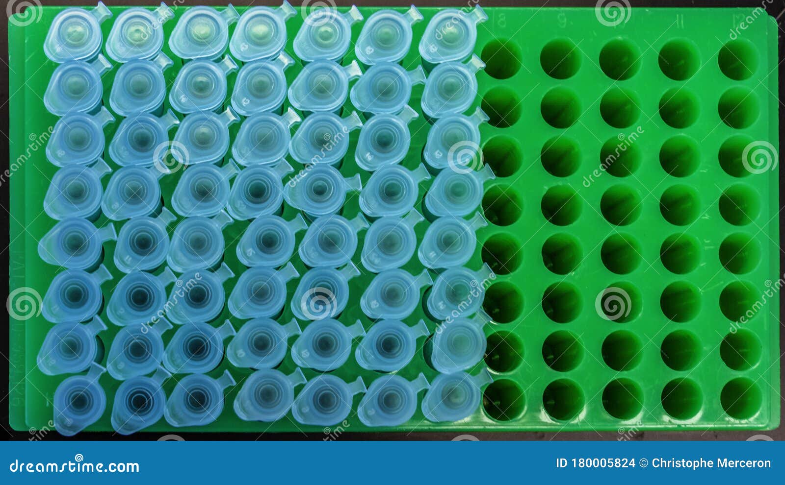Test Tubes in a Biology Laboratory Stock Photo Image of plastic