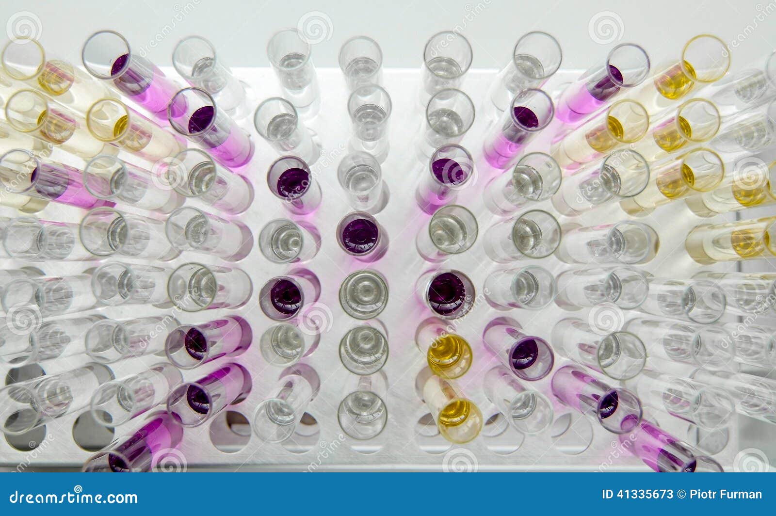 test tubes with colorful liquid specimens