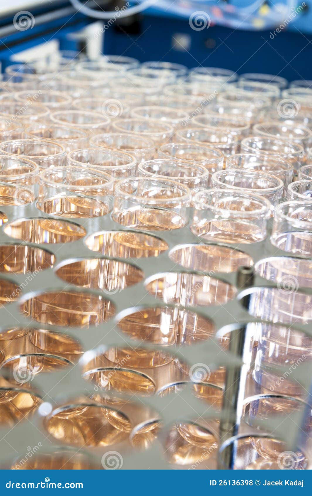 Test tubes in metal rack stock photo. Image of analysis 26136398