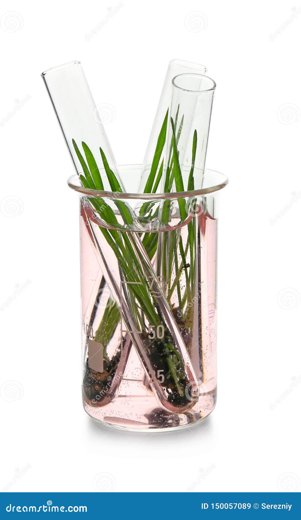 Test Tubes With Plants In Glass Flask, Isolated On White