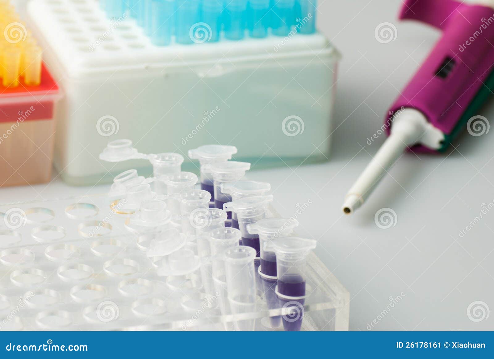 Test tubes and vials stock image. Image of rack, biochemistry 26178161