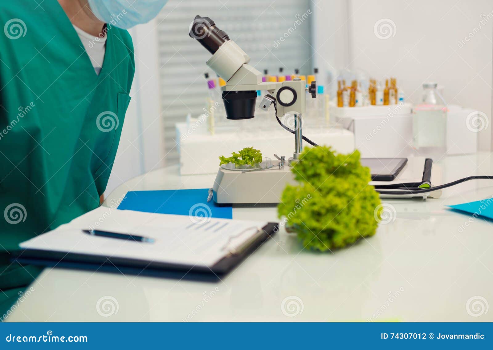 Testing of Modified Food in the Laboratory Stock Photo
