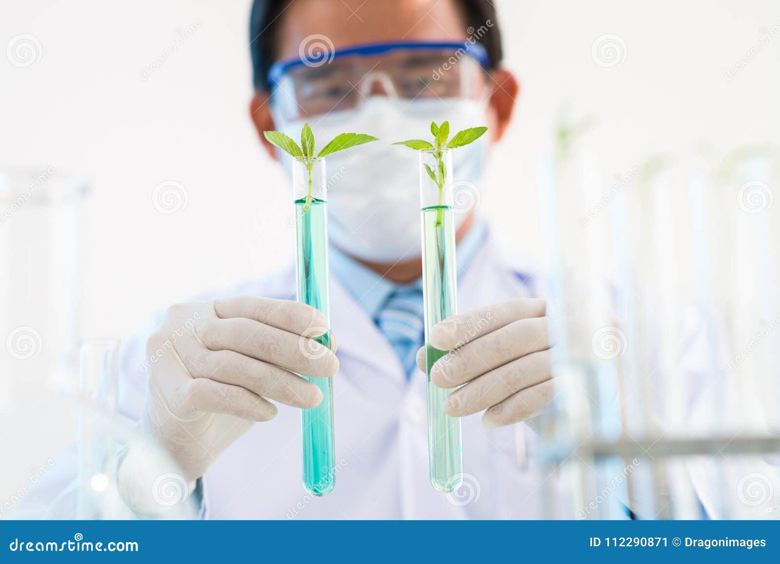 Testing GMO Plants stock image. Image of laboratory - 112290871