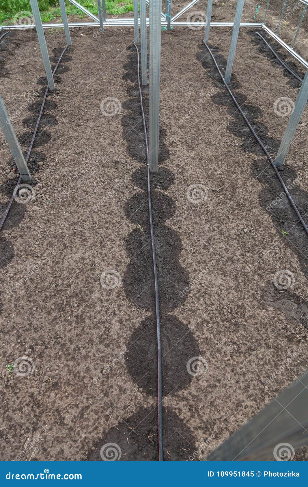 new drip irrigation system in greenhouse
