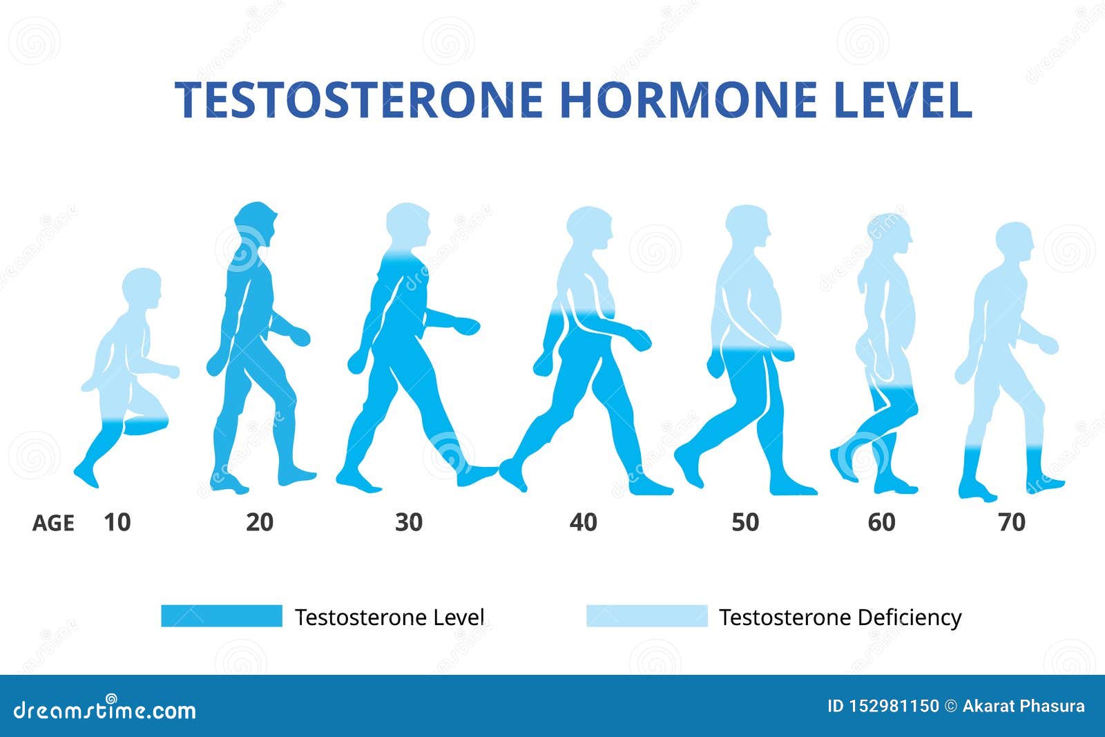 Hormone Levels Chart