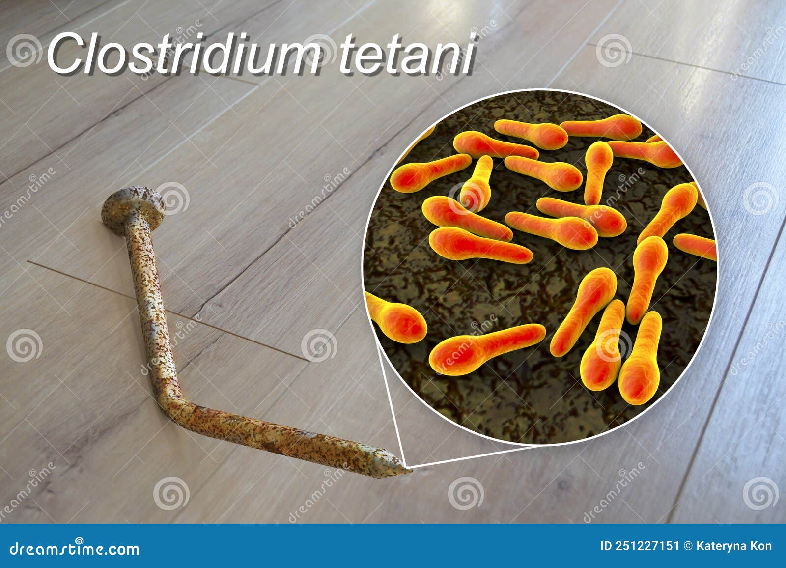 Tetanus. Bacteria Clostridium Tetani and Rusty Metal Nail Stock