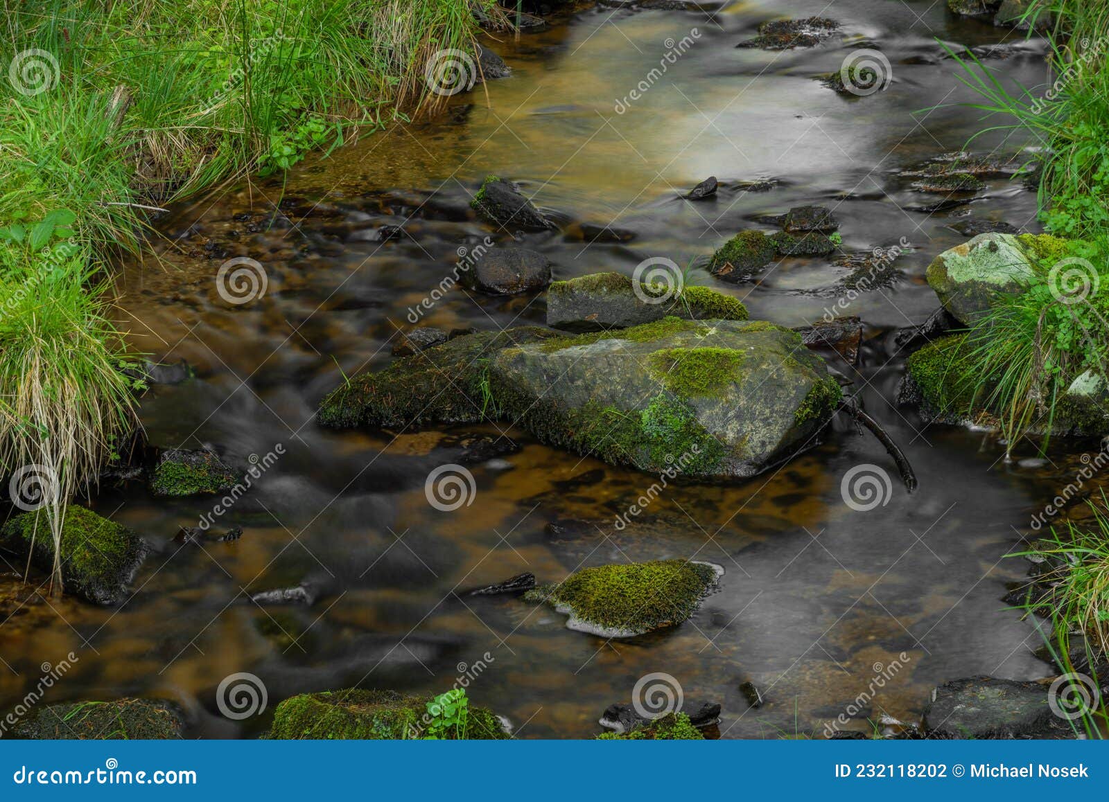 tetrivci creek in sumava national park in autumn day