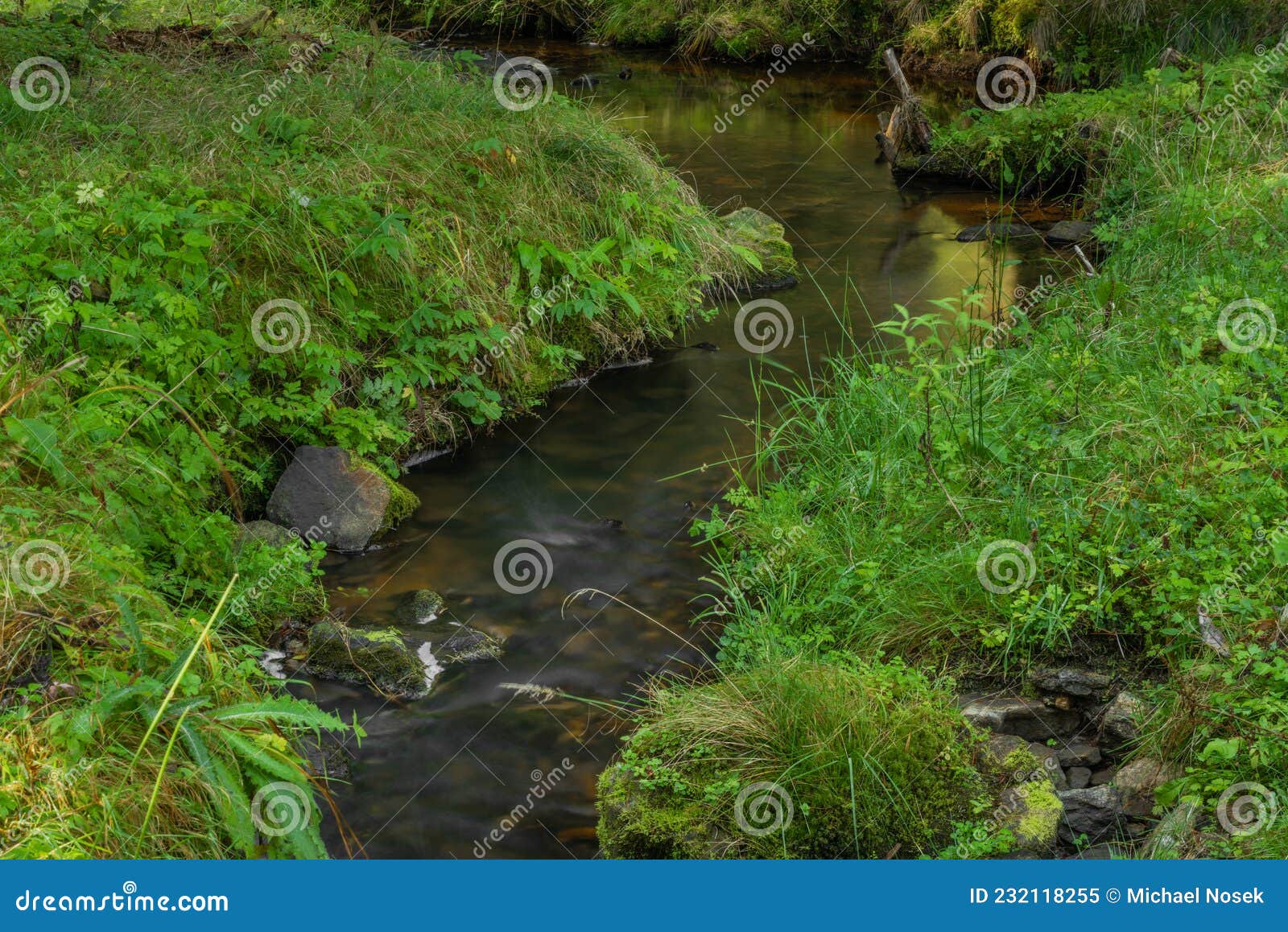 tetrivci creek in sumava national park in autumn day
