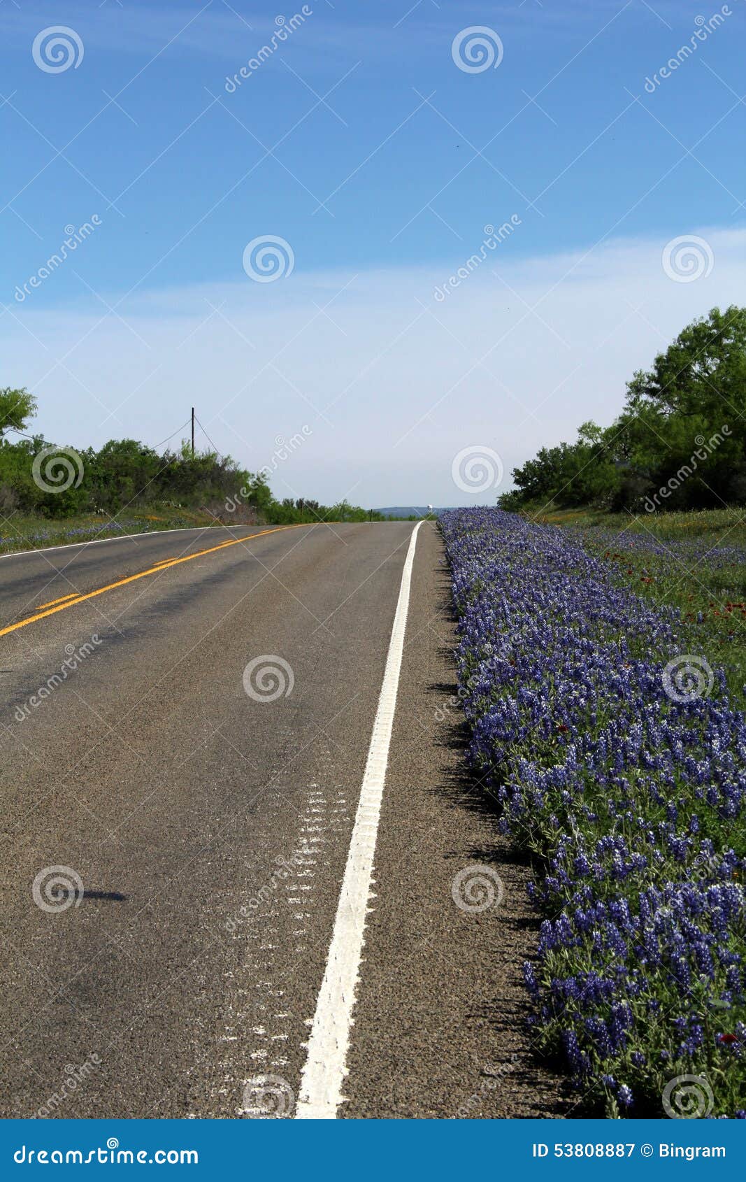 texas highway in spring