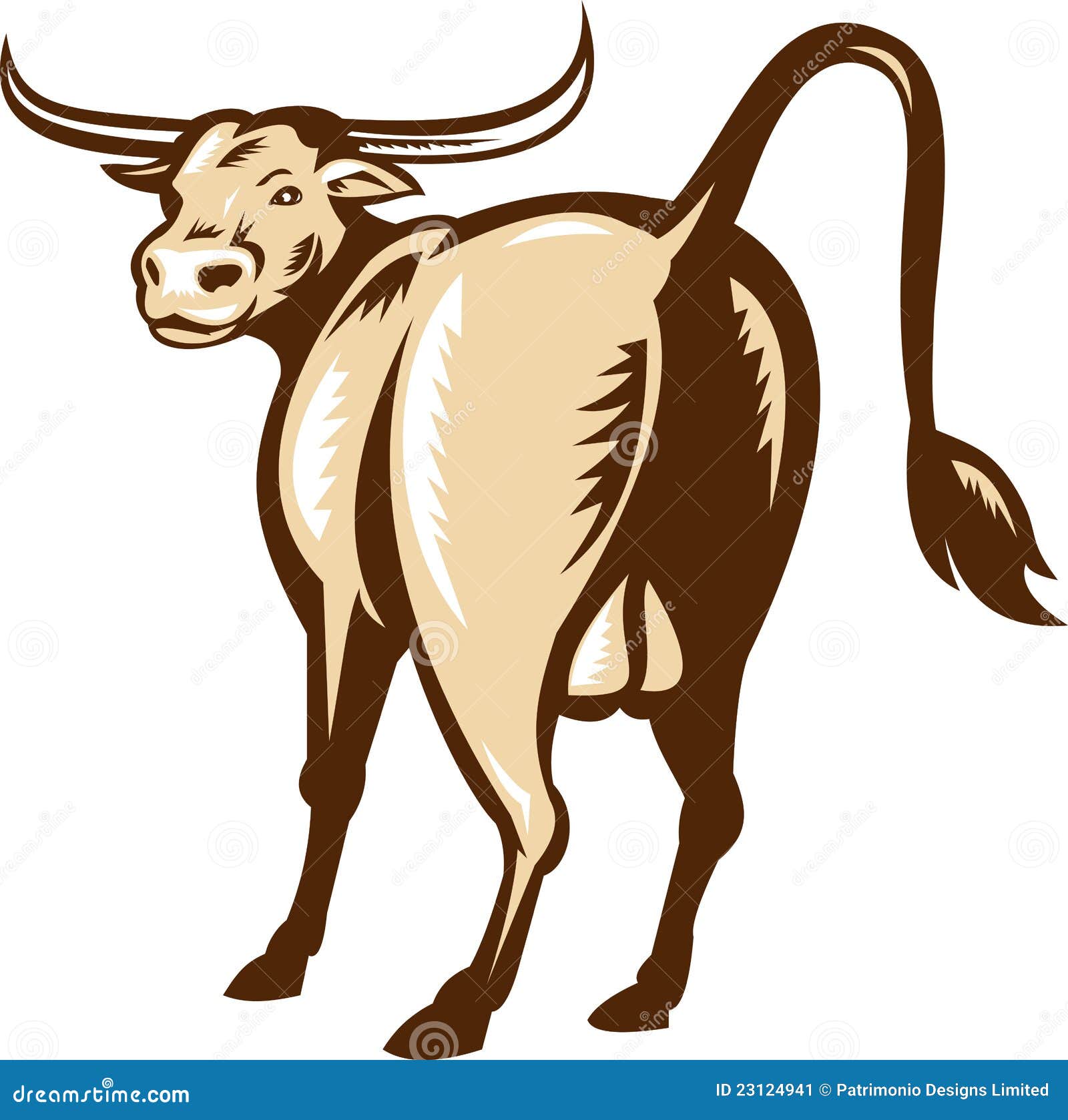 texas longhorn bull rear view retro