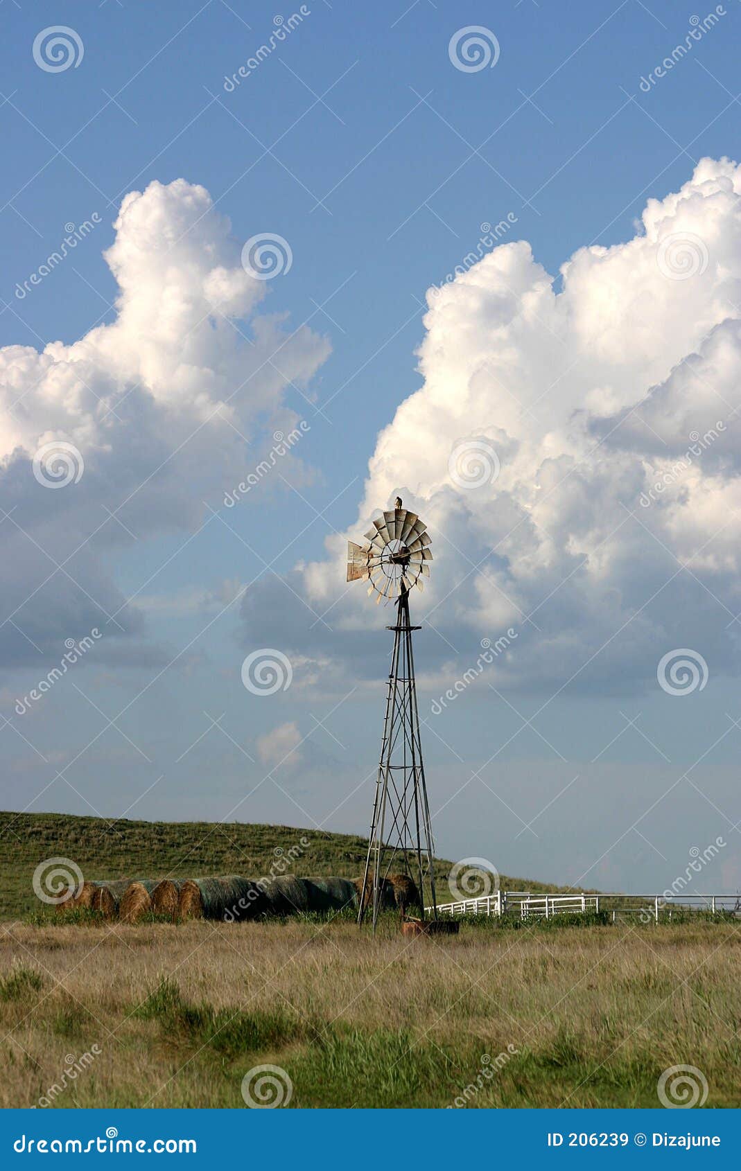 Vertical shot of windmill with water tank at base and round bales of 