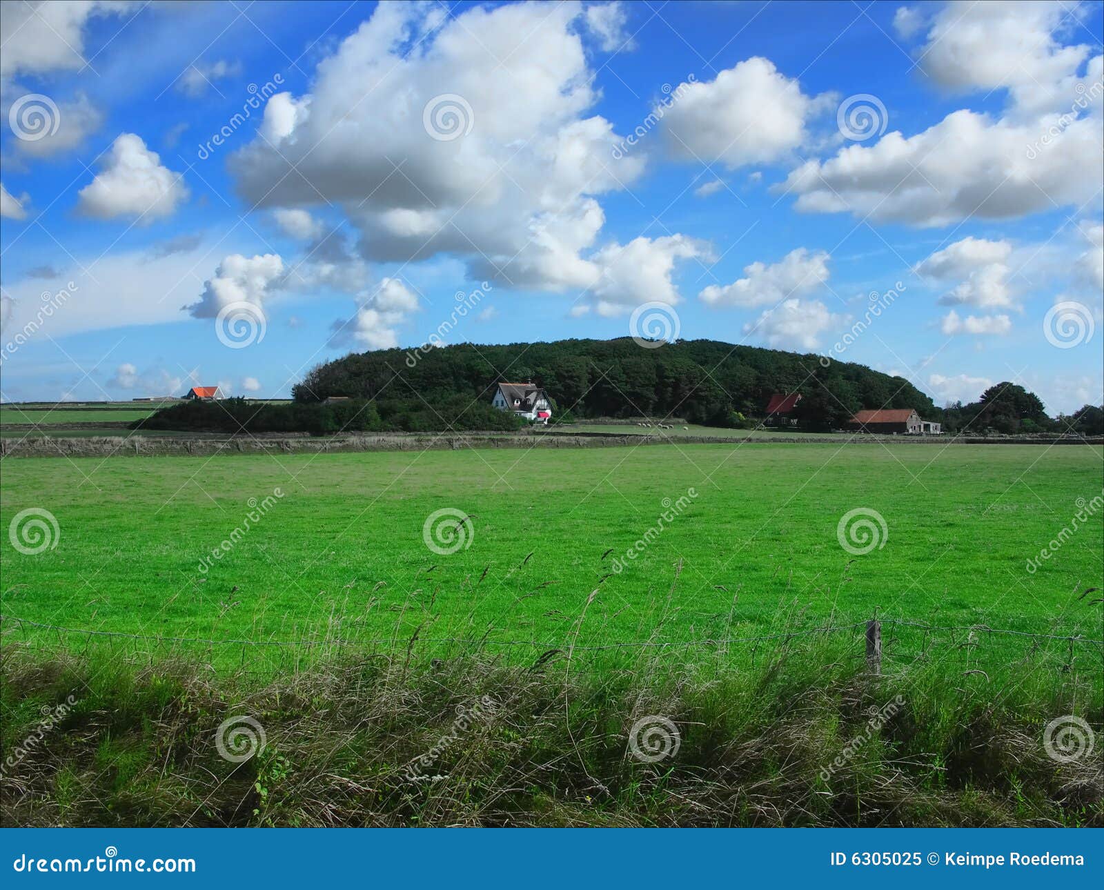 texel