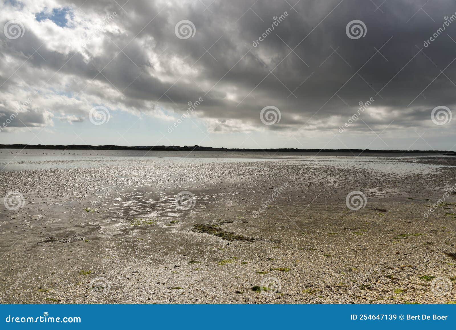 texel, netherlands. august 2022. the mok bay on the island of texel, during a threatening rainstorm.