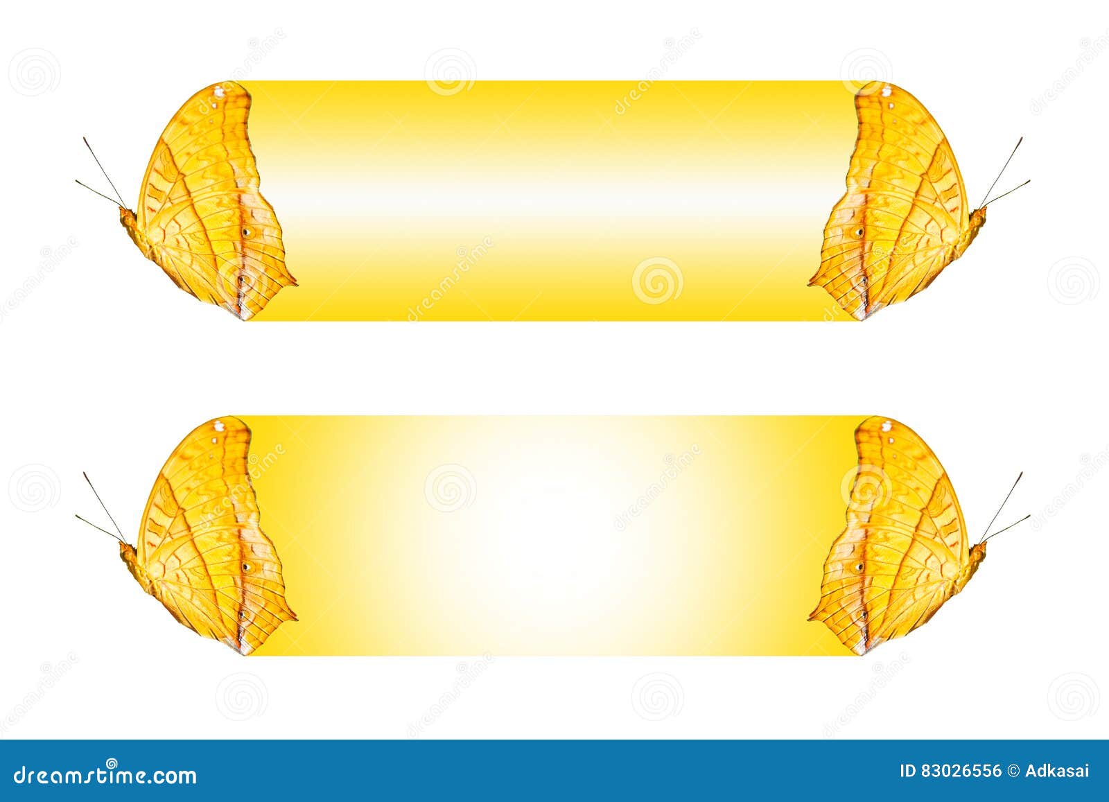 text box  with butterfly the cruiser vindula dejone erotella, isolate on white