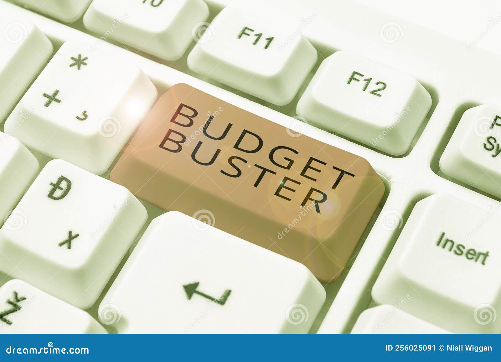 Conceptual Display Budget Buster. Business Overview Carefree Spending Bargains Unnecessary 