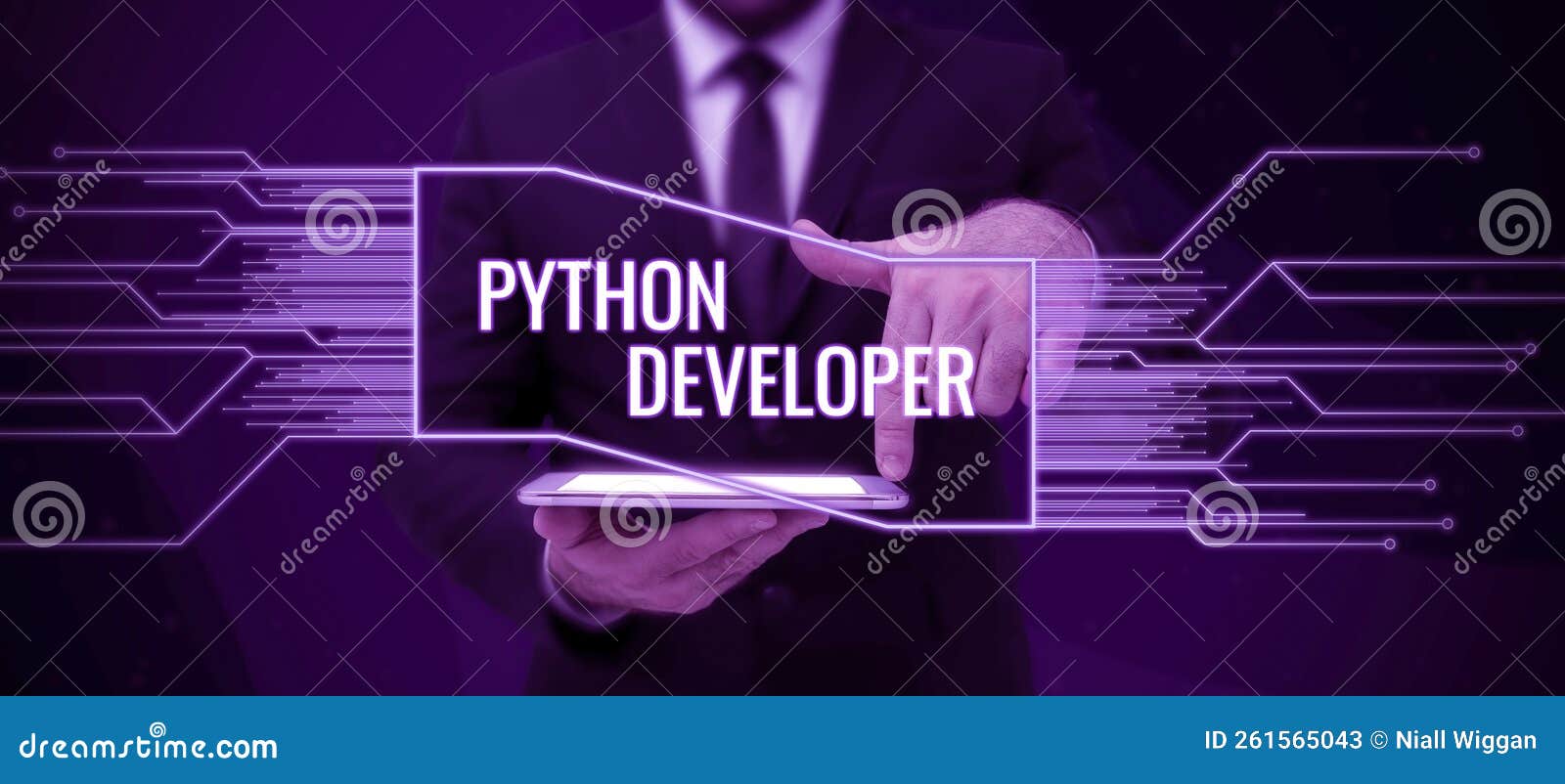 Hand Writing Sign Python Developer. Concept Meaning Responsible for