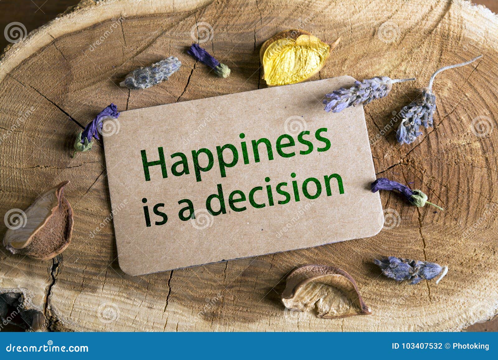 happiness is a decision