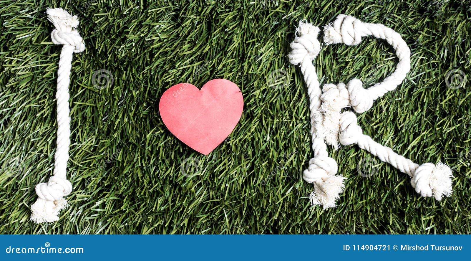 Text: I Love R Made from Ropes on Grass Background. Stock Image ...