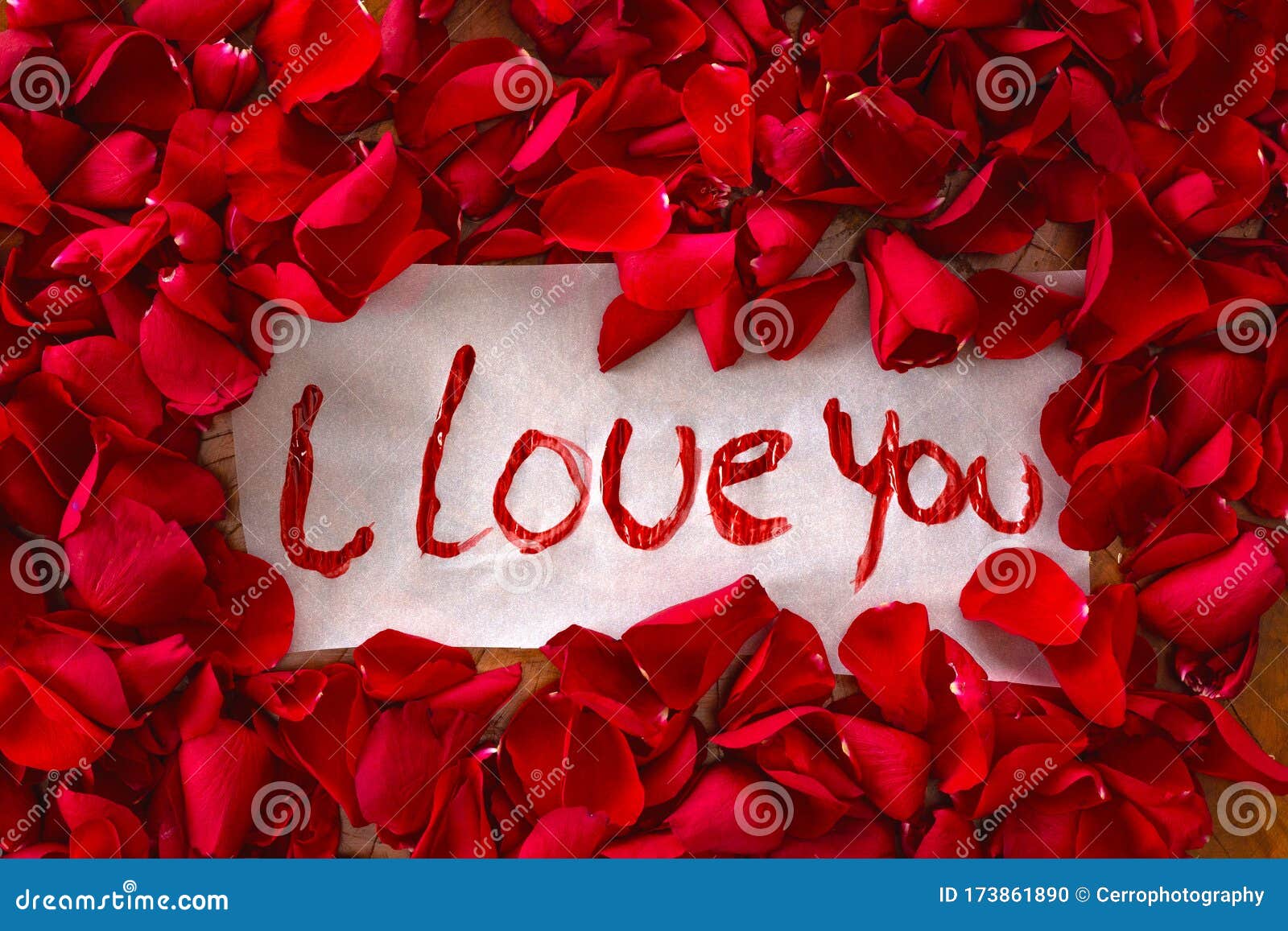 The Text I Love You Surrounded with Red Rose Petals, Romantic ...