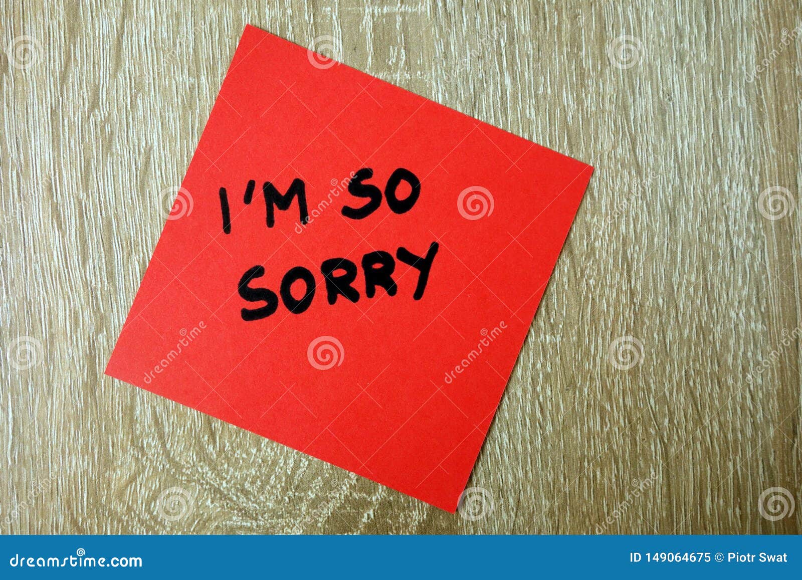Text I am so Sorry Written on Red Sticker Stock Image - Image of ...