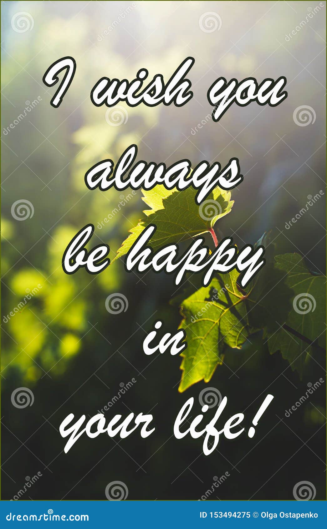 Text. I Wish You always a Happy Life. a Grape Leaf is Lit by the ...