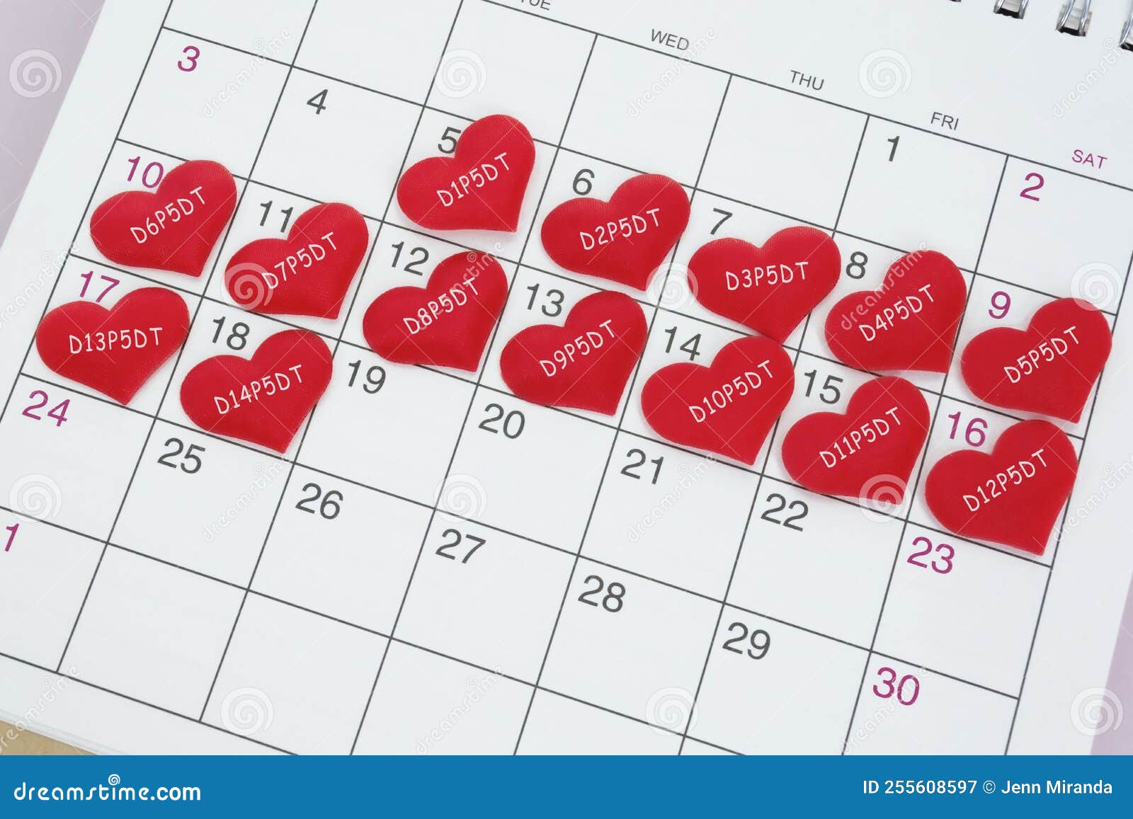 text on red heart  on calendar. ivf embryo transfer day 5.