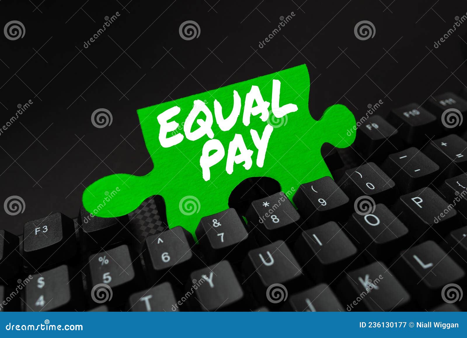 Text Showing Inspiration Equal Pay. Conceptual Photo Rights that