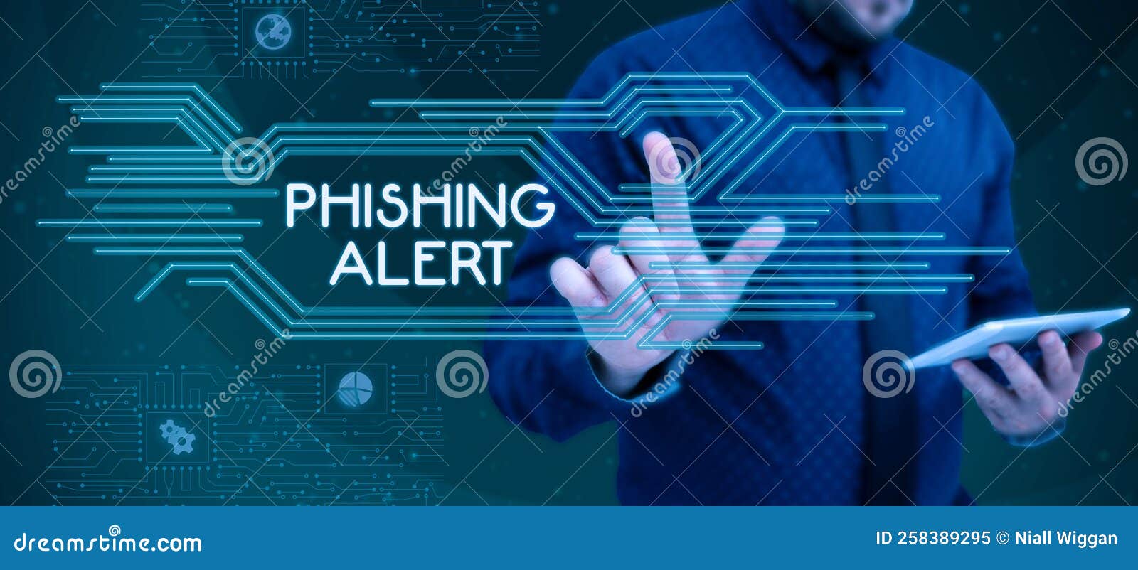sign displaying phishing alert. business overview aware to fraudulent attempt to obtain sensitive information
