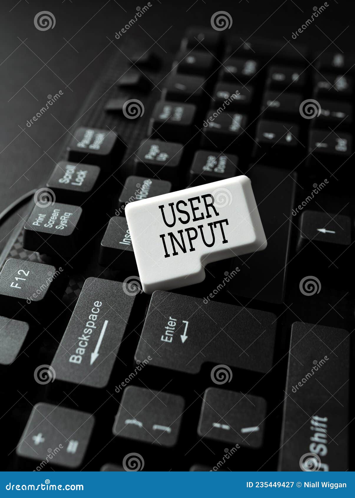 Inspiration Showing Sign User Input. Internet Concept Any Information ...