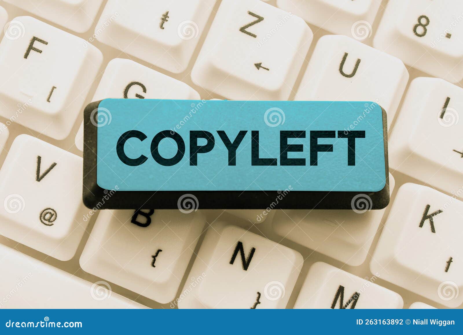 text sign showing copyleft. business approach the right to freely use, modify, copy, and share software, works of art