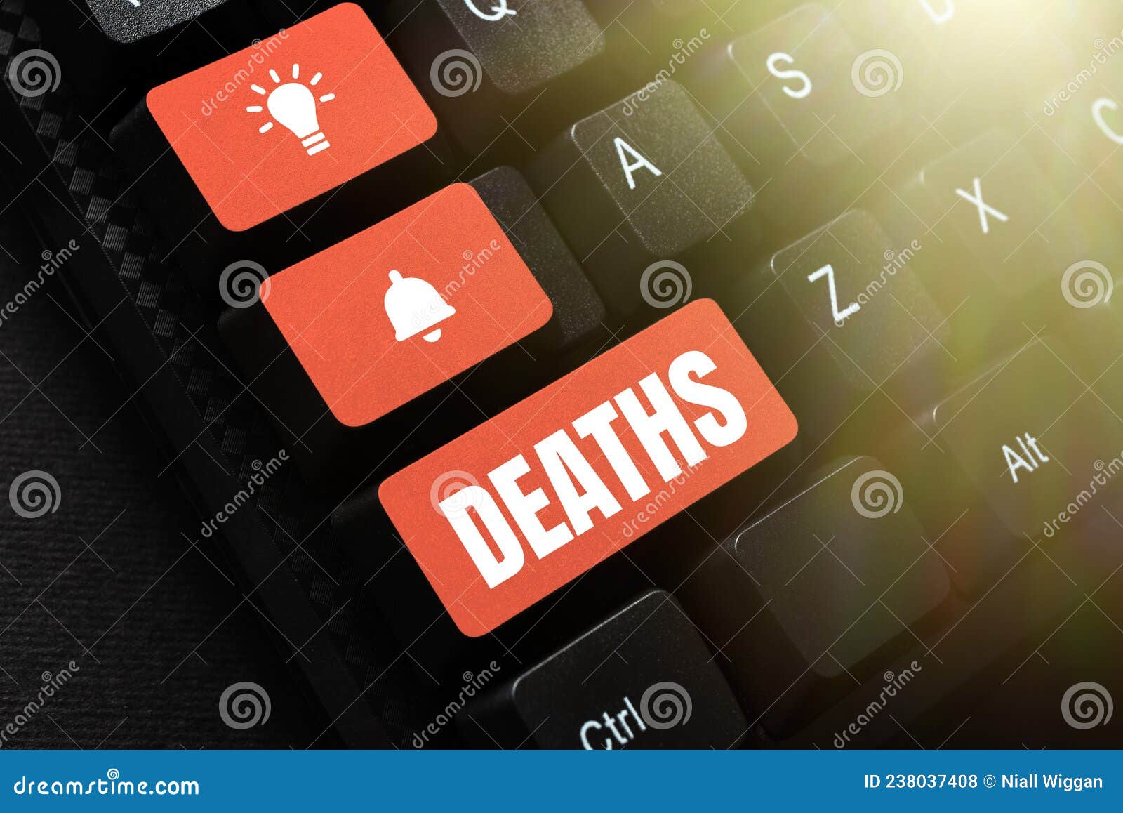 text sign showing deaths. business concept permanent cessation of all vital signs, instance of dying individual retyping