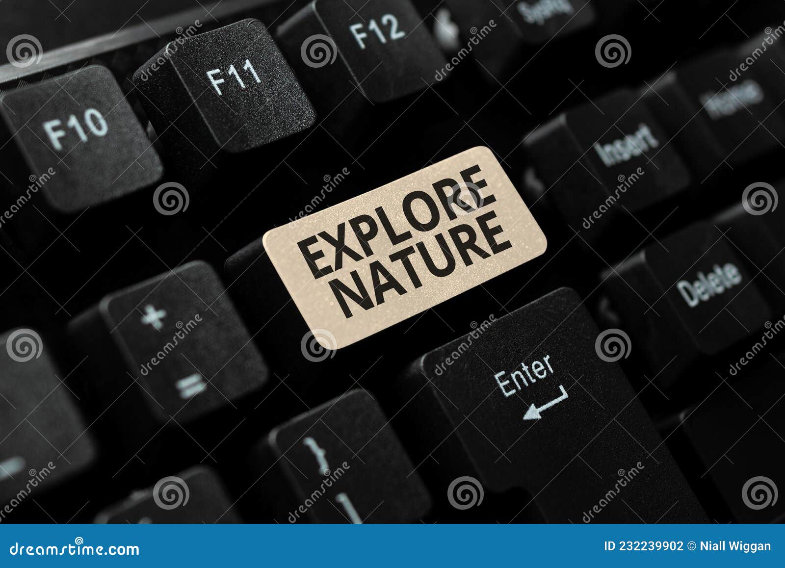 gradvist Forvirret Selskabelig Text Sign Showing Explore Nature. Business Concept Discovering the Countryside Enjoying the Wildlife Travel Converting Stock Photo - Image of explore, group: 232239902 gradvist Forvirret Selskabelig Text Sign Showing Explore Nature. Business Concept Discovering the Countryside Enjoying the Wildlife Travel Converting Stock Photo - Image of explore, group: 232239902