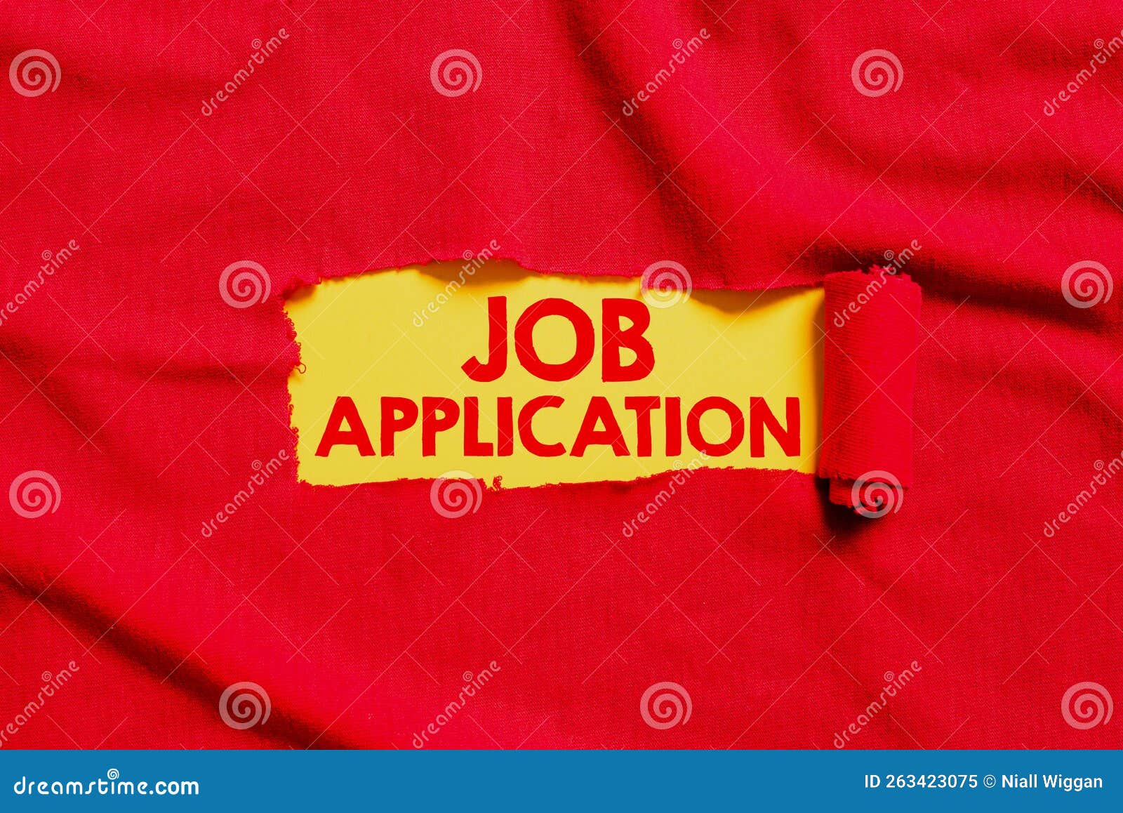 AP Operation Specialist Job Mars 广州市