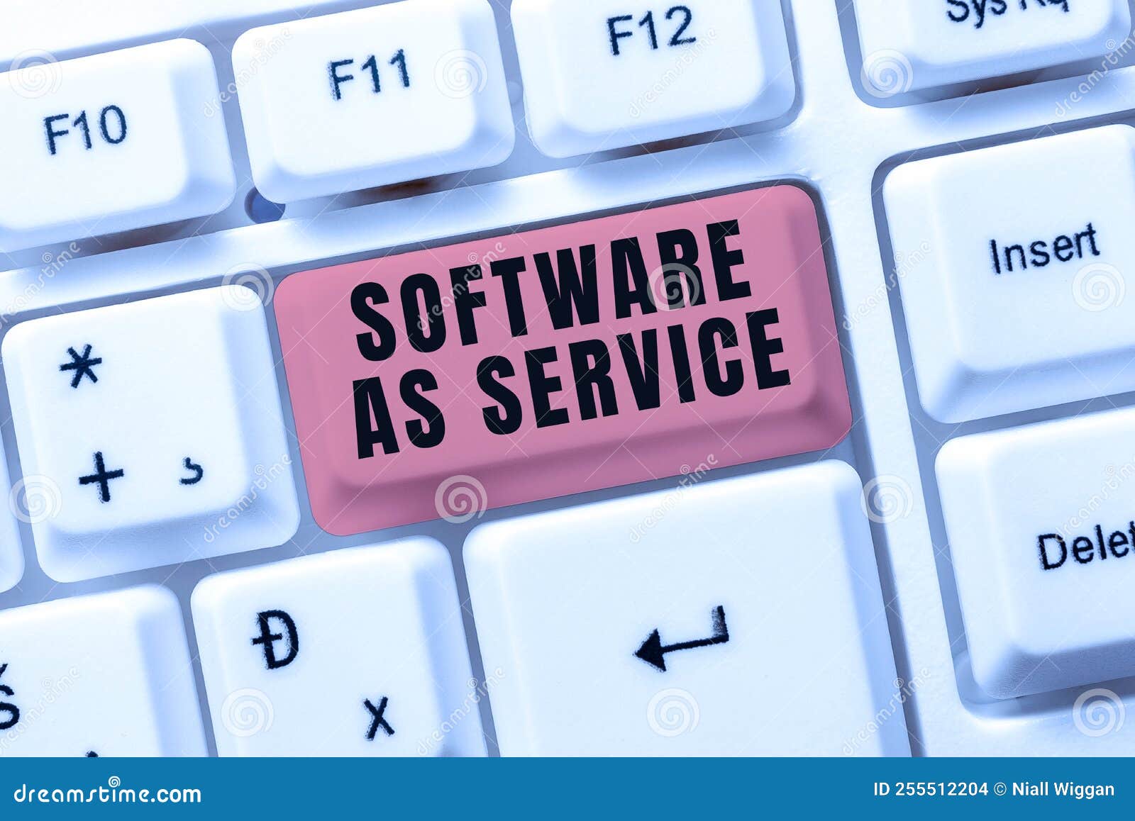 writing displaying text software as service. business overview on demand licensed on subscription and centrally hosted
