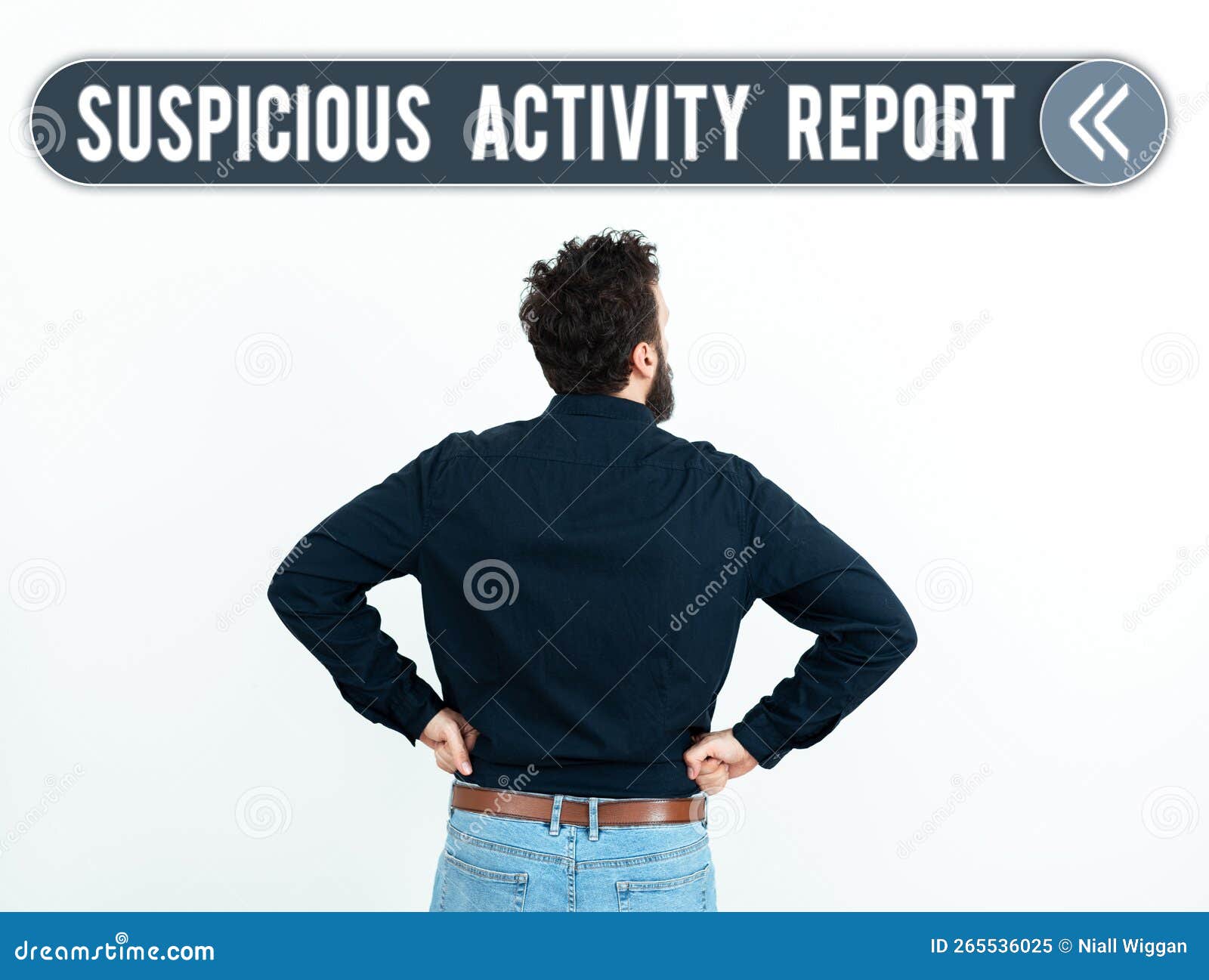 Text Sign Showing Suspicious Activity Report. Business Idea Account or