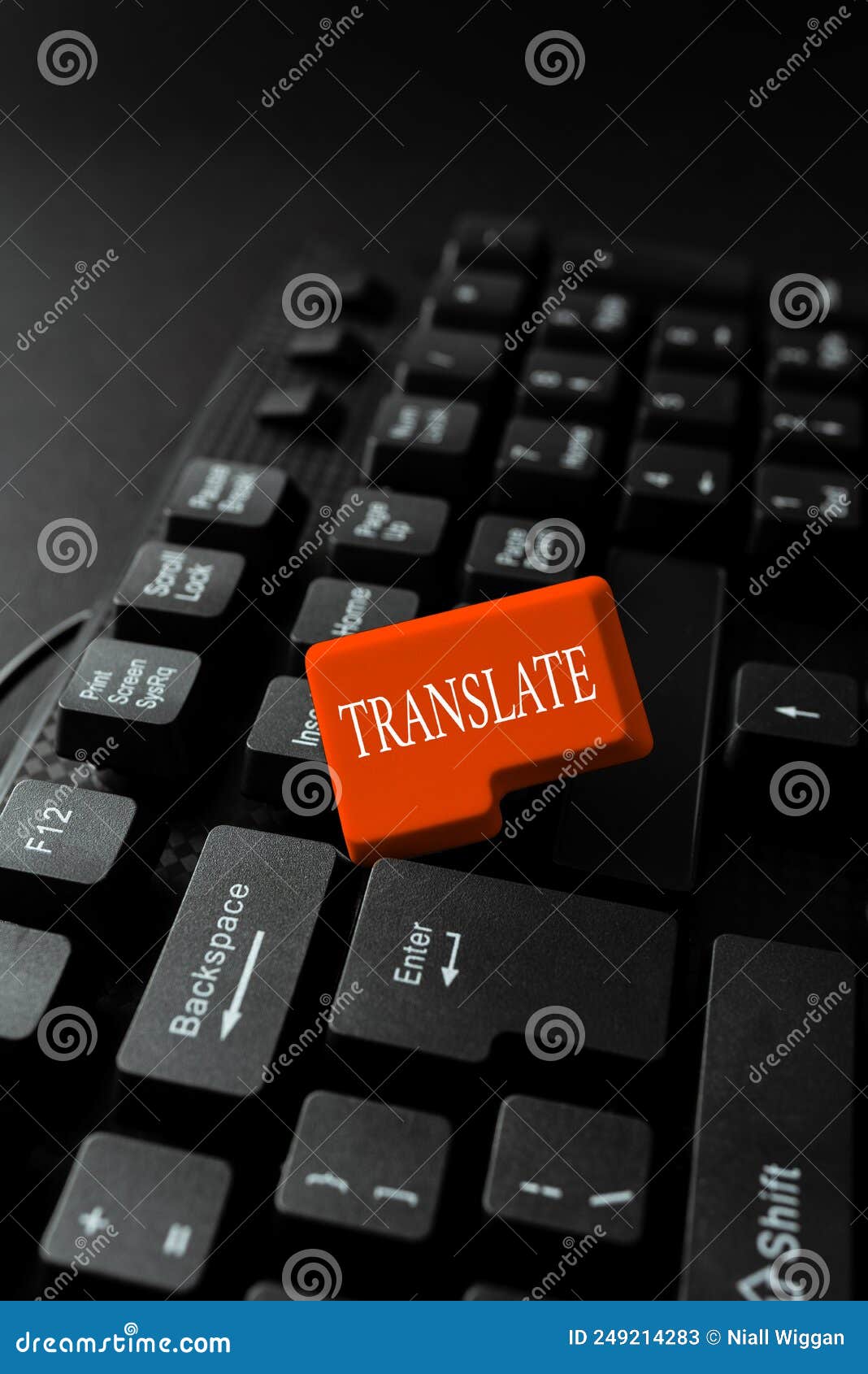 text sign showing translate. business idea another word with same equivalent meaning of a target language -48871