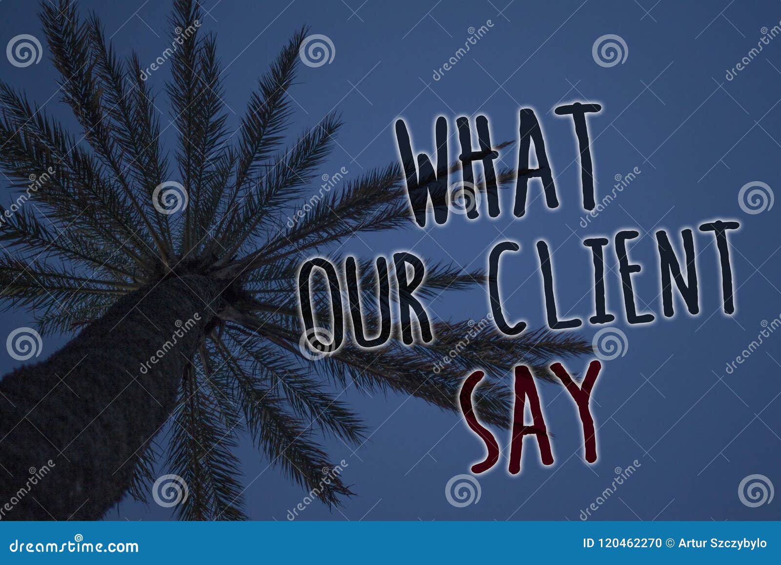 text sign showing what our client say. conceptual photo customers feedback or opinion about product service tree palm sky blue nat