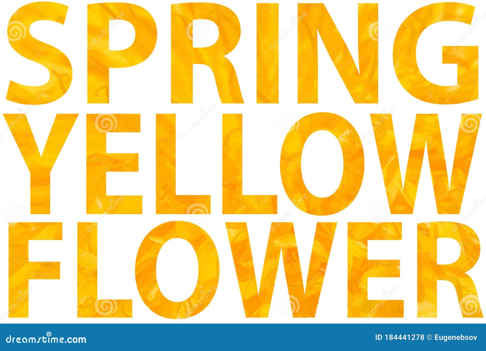 Yelllow Dandelion Stock Illustrations – 6 Yelllow Dandelion Stock