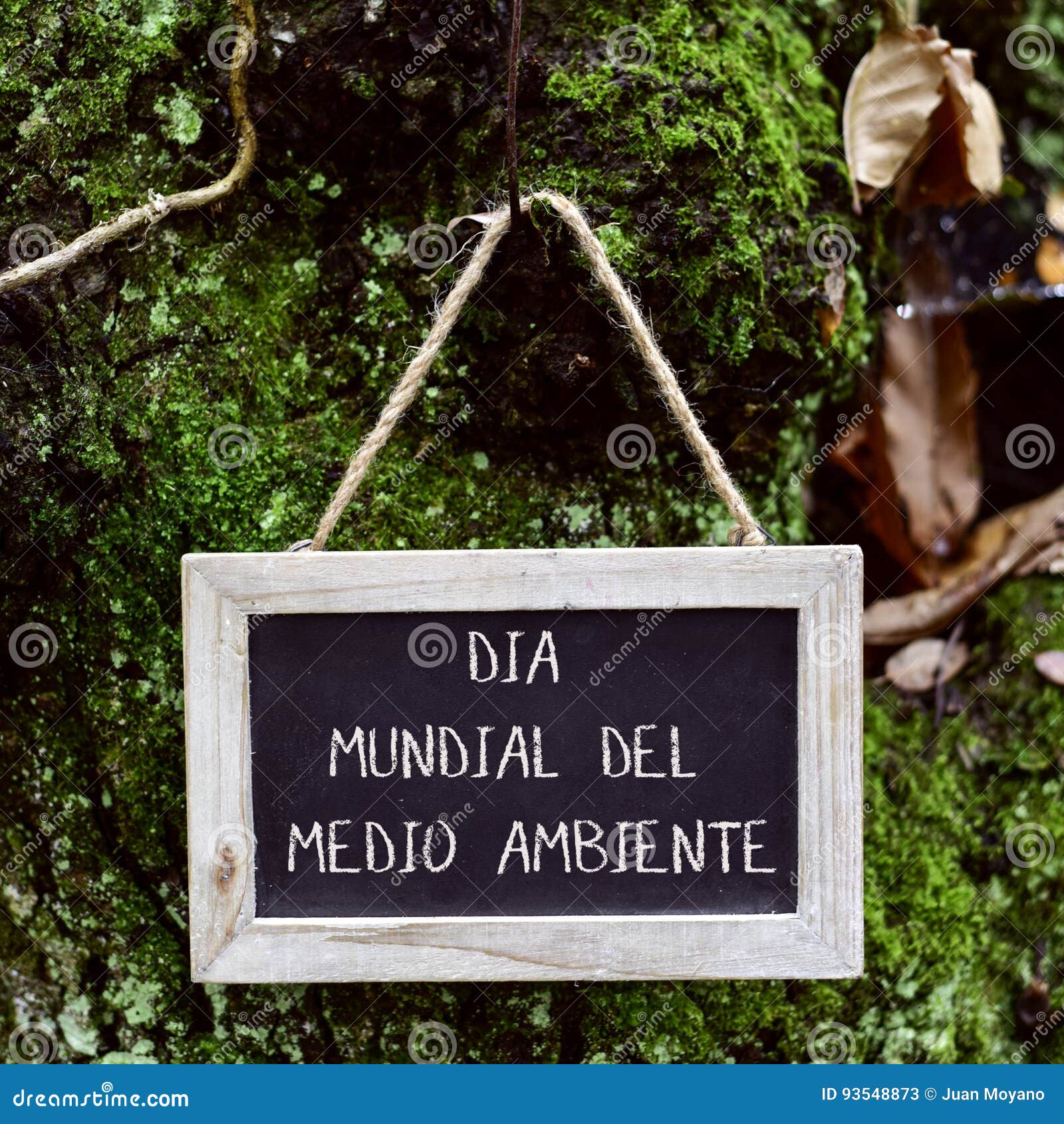 text world environment day in spanish