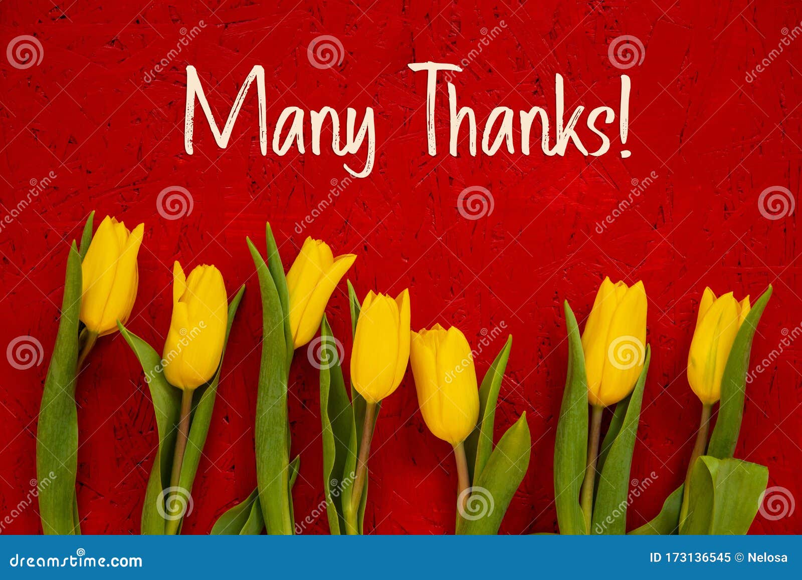 1 147 Merci Beaucoup Photos Libres De Droits Et Gratuites De Dreamstime