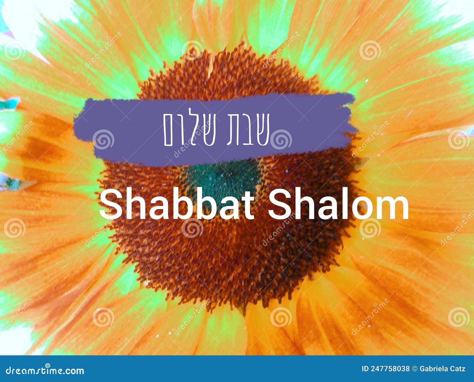 O Projeto Shabbat Shalom Do Texto De Shabbat Shalom é Um