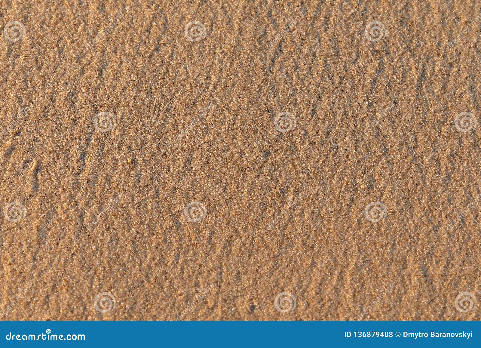 Textur av gul, mjuk, slät fin sand med bärnstensfärgade chiper på stranden. Gul brun strandsand på soluppgångnärbilden Bra bakgrund fin sand med bärnstensfärgad smula