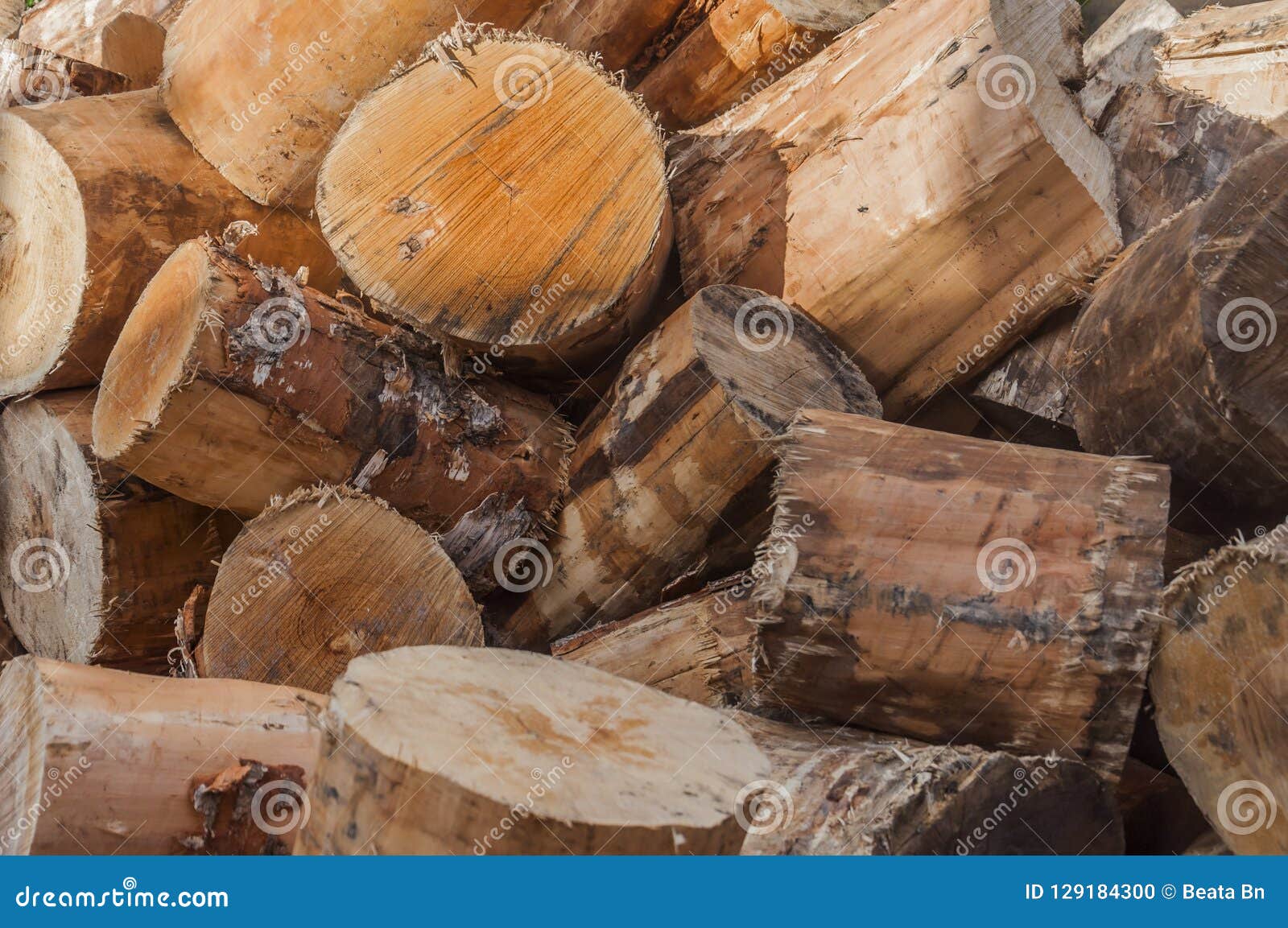textura, background - naturale wood