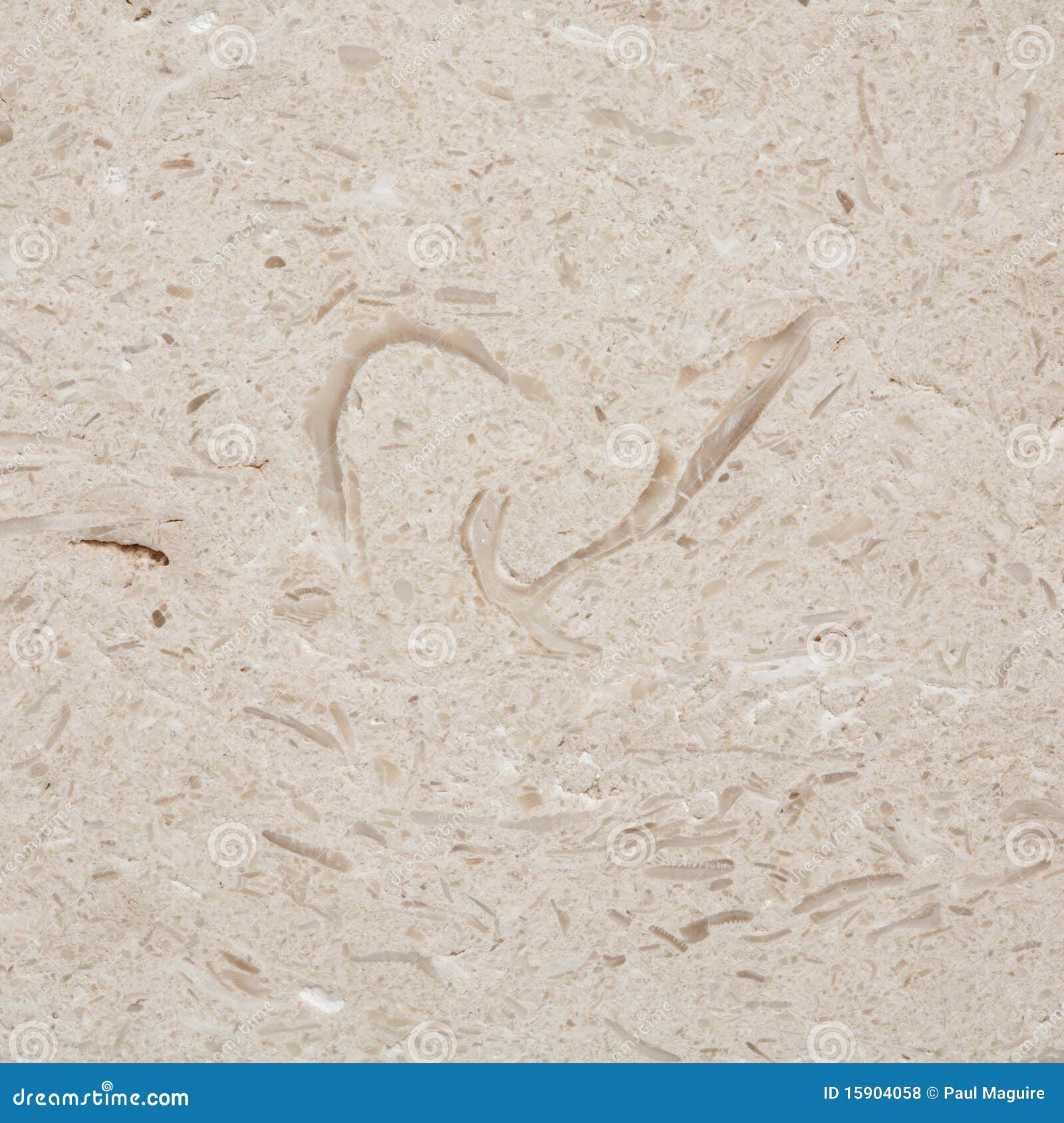 Textura De La Piedra Caliza Foto de archivo Imagen de granuloso